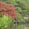 Tokyo_Rikugien_Park_14